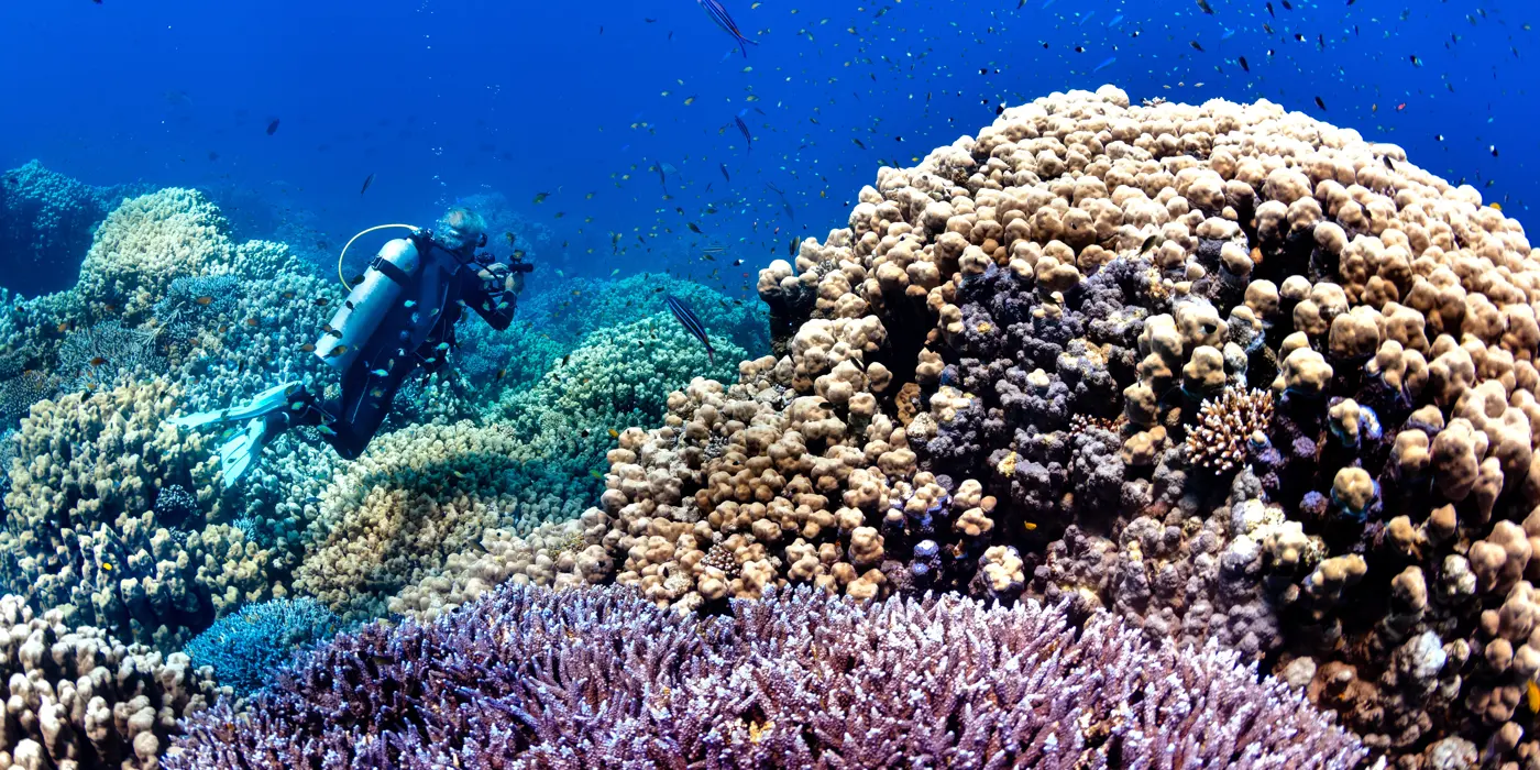 Dive Sites 