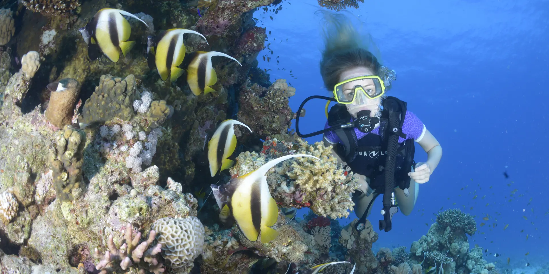 RAID Red Sea Try Dive