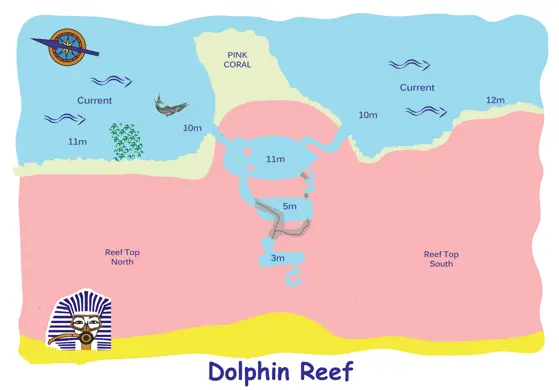 Dolphin House