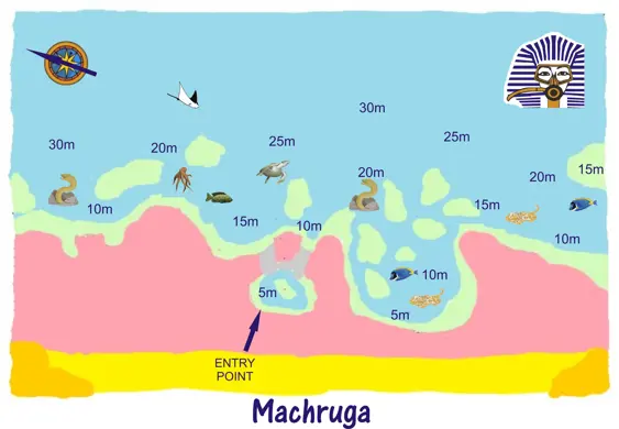 Machruga