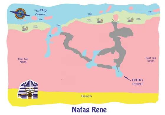 Nafag Rene