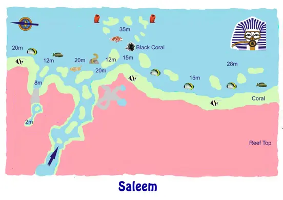 SALEEM