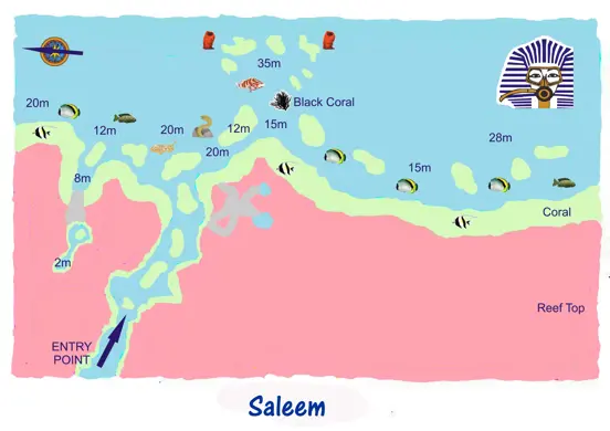 Saleem