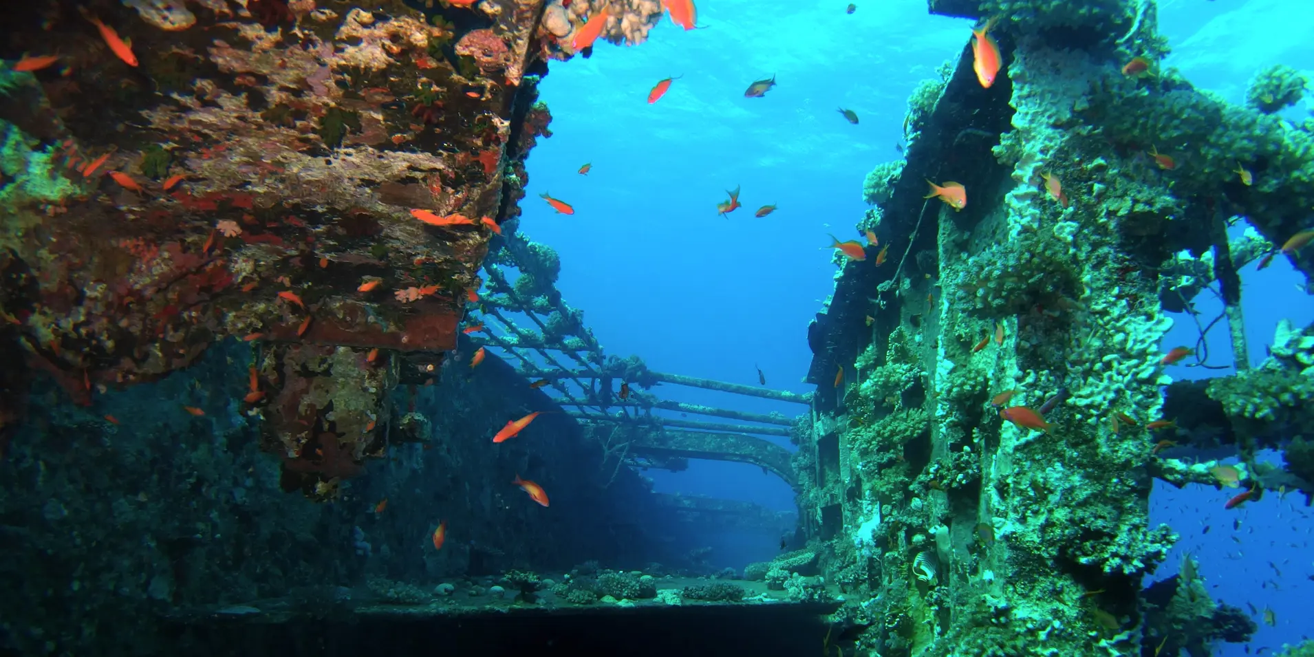 Salem Wreck