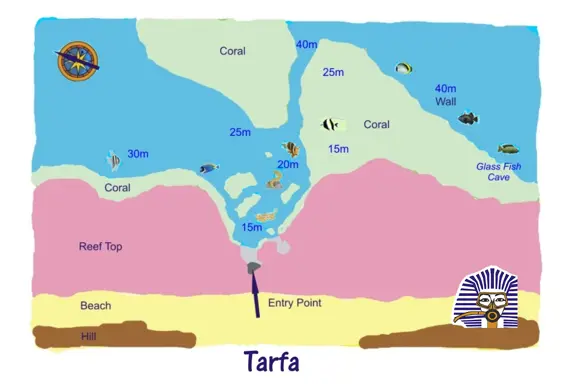 Tarfa