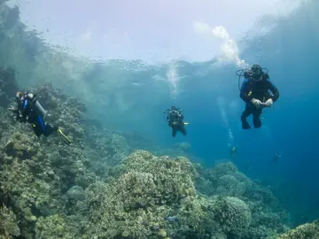 Safe, small-group dives for the personal touch